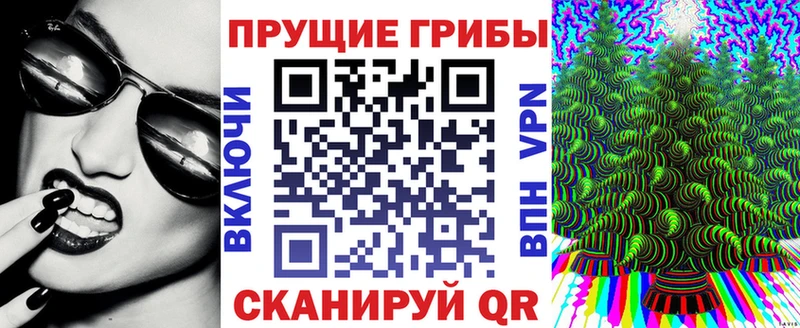 Псилоцибиновые грибы GOLDEN TEACHER  Спасск 